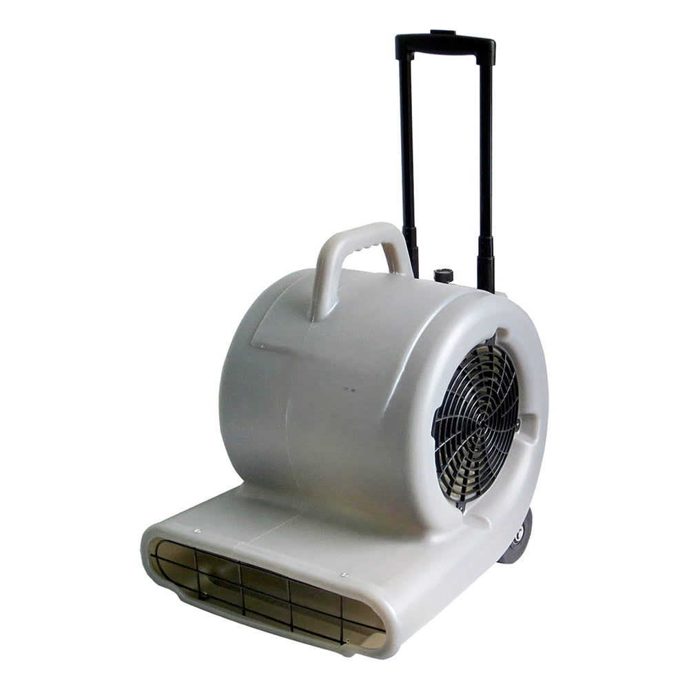 Carpet Blower (3-Speed)